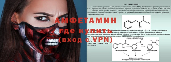 амф Аркадак